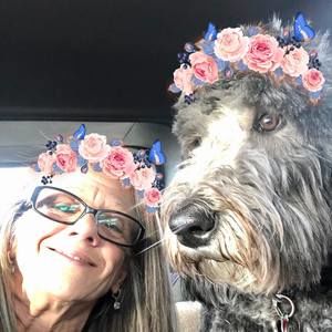 Meet your Posher, Sandra